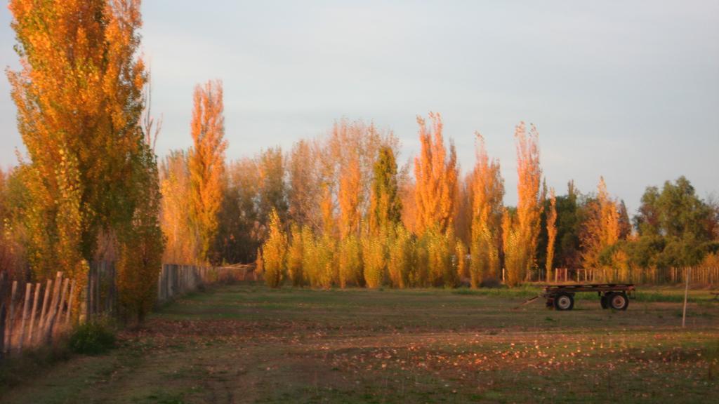 Posada Del Viajero San Rafael Экстерьер фото