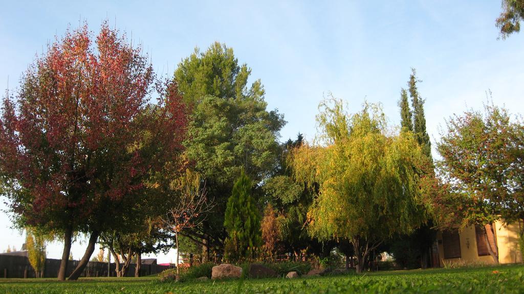Posada Del Viajero San Rafael Экстерьер фото
