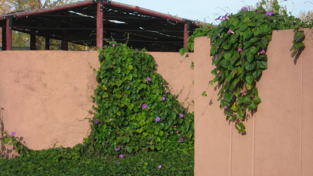 Posada Del Viajero San Rafael Экстерьер фото